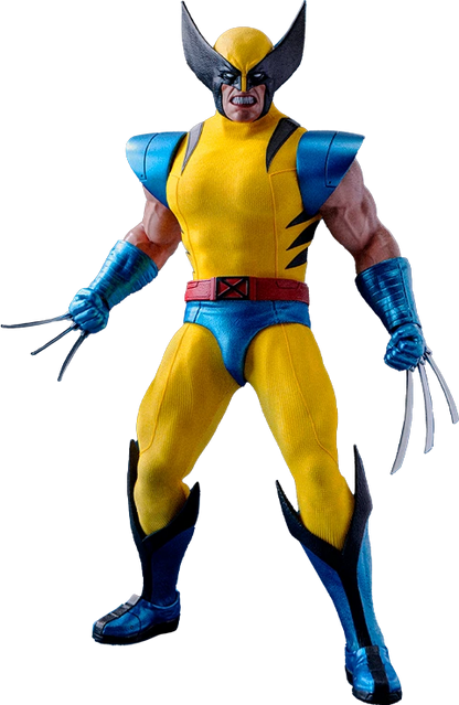 Preventa Figura Wolverine ™ - X-Men ™ marca Hot Toys x Hono Studio HS01 escala 1/6