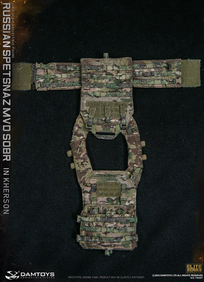 Pedido Figura Russian Spetsnaz MVD SOBR in Kherson marca DAMTOYS 78097 escala 1/6