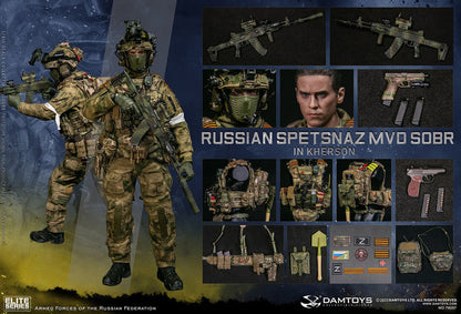 Pedido Figura Russian Spetsnaz MVD SOBR in Kherson marca DAMTOYS 78097 escala 1/6