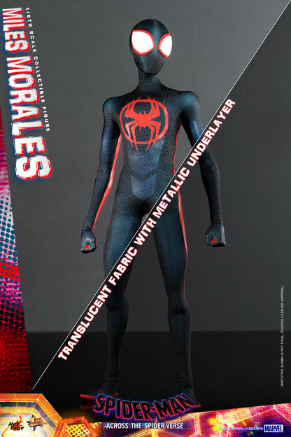 Preventa Figura Miles Morales - Spider-Man: Across the Spider-Verse marca Hot Toys MMS710 escala 1/6