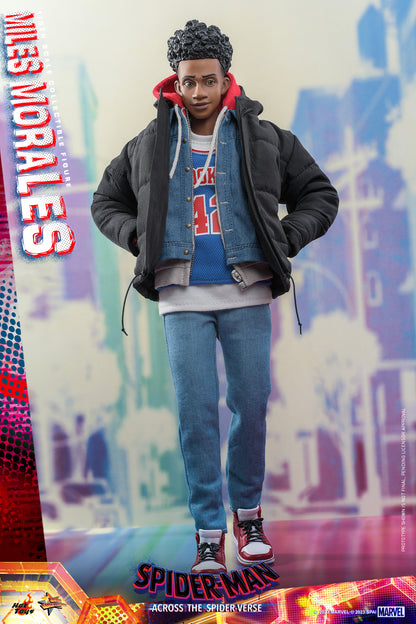 Preventa Figura Miles Morales - Spider-Man: Across the Spider-Verse marca Hot Toys MMS710 escala 1/6