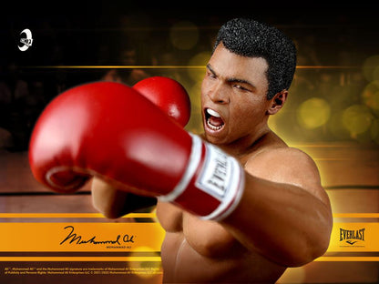 Pedido Figura y Busto Muhammad Ali (Edición Limitada) marca Iconiq Studios IQLS01 (D) escala 1/6