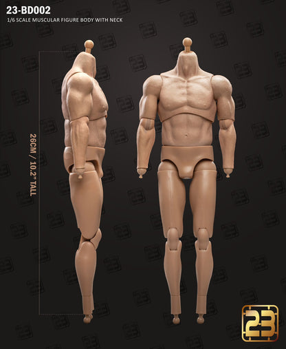 Preventa Cuerpos articulados (6 versiones) marca 23toys escala 1/6