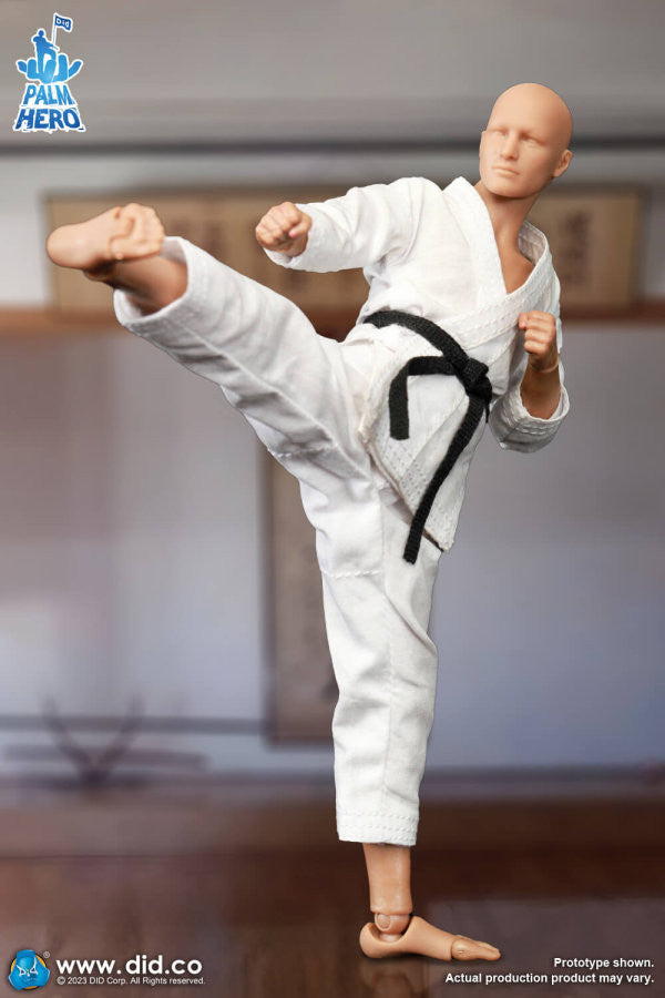 Pedido Figura The Karate Player - Simple Fun Series marca DID SF80001 escala pequeña 1/12