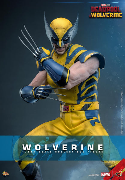 Preventa Figura Wolverine - Deadpool & Wolverine marca Hot Toys MMS753 escala 1/6