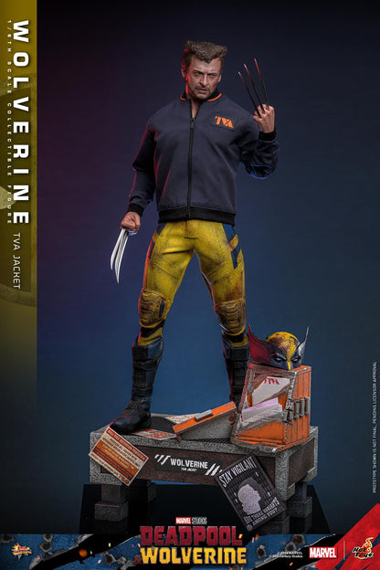 Preventa Figura Wolverine (TVA Jacket version) - Deadpool & Wolverine marca Hot Toys MMS756 escala 1/6