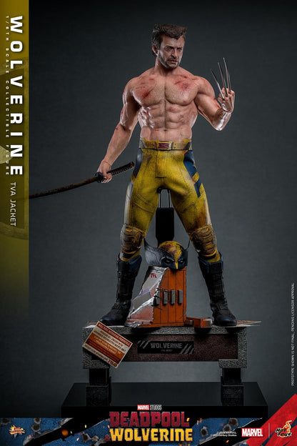 Preventa Figura Wolverine (TVA Jacket version) - Deadpool & Wolverine marca Hot Toys MMS756 escala 1/6