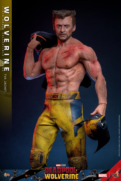 Preventa Figura Wolverine (TVA Jacket version) - Deadpool & Wolverine marca Hot Toys MMS756 escala 1/6