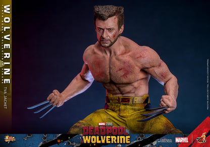 Preventa Figura Wolverine (TVA Jacket version) - Deadpool & Wolverine marca Hot Toys MMS756 escala 1/6