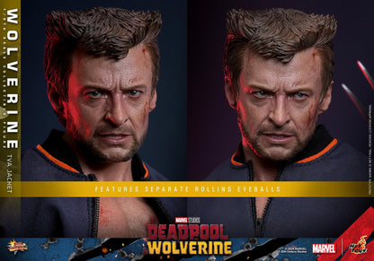 Preventa Figura Wolverine (TVA Jacket version) - Deadpool & Wolverine marca Hot Toys MMS756 escala 1/6