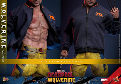 Preventa Figura Wolverine (TVA Jacket version) - Deadpool & Wolverine marca Hot Toys MMS756 escala 1/6