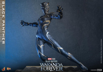 Pedido Figura Black Panther - Wakanda Forever marca Hot Toys MMS675 escala 1/6