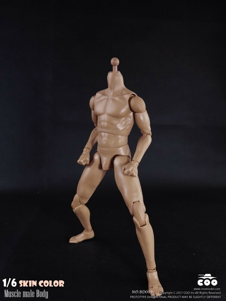 [PEDIDO] Cuerpo articulado masculino (2 versiones) marca Coo Model escala 1/6