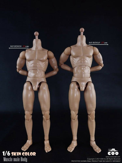 [PEDIDO] Cuerpo articulado masculino (2 versiones) marca Coo Model escala 1/6